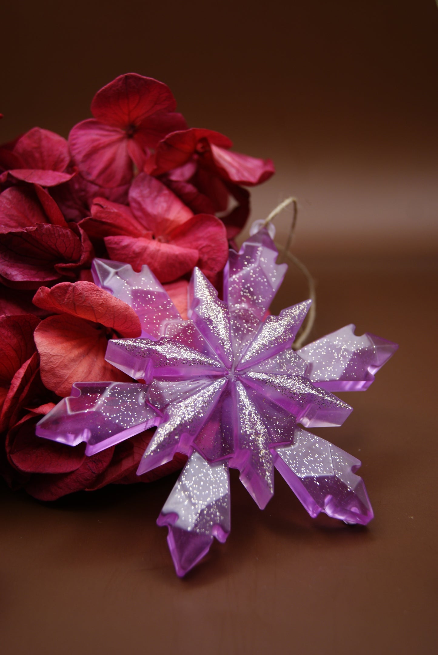 Flocon de Noël